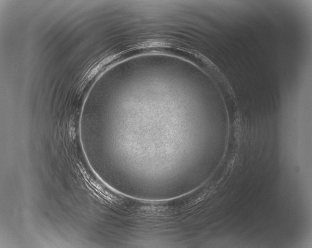 X0000086260929200703291429