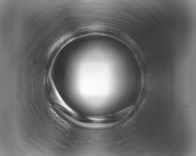 X0000086260930200703291429