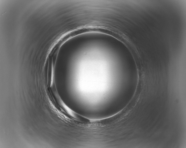 X0000086260934200703291429