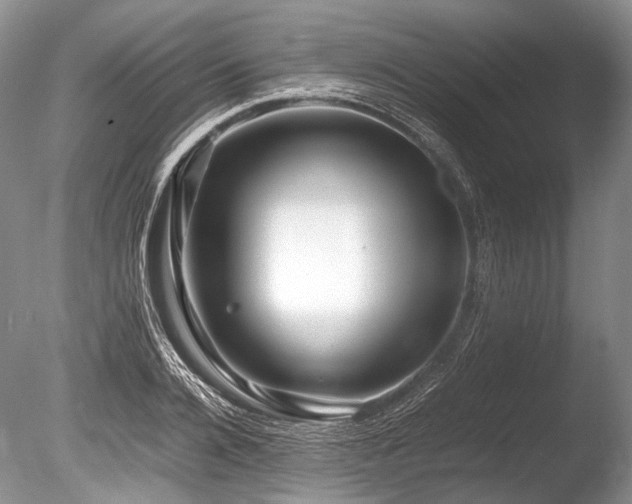X0000086260936200703291429