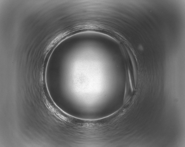 X0000086260938200703291429