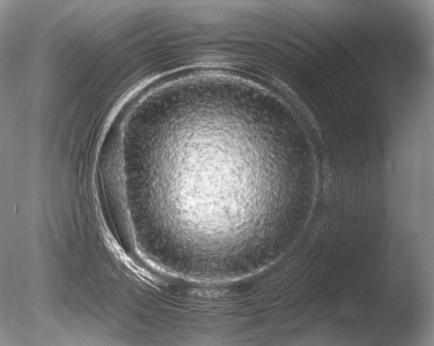X0000086260939200703291429