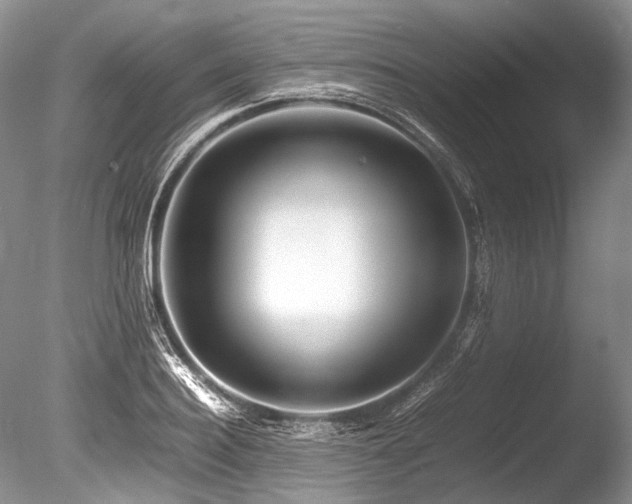 X0000086260940200703291429