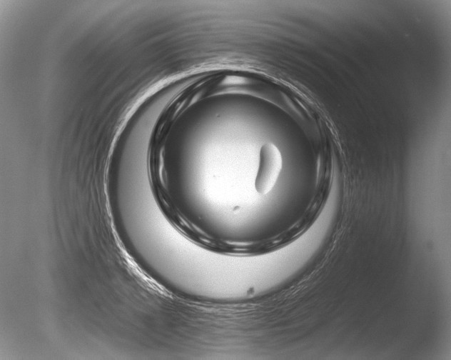 X0000086260942200703291429