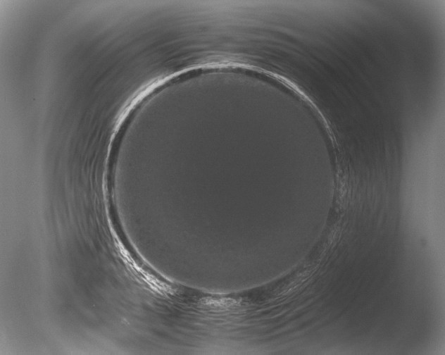 X0000086260943200703291429