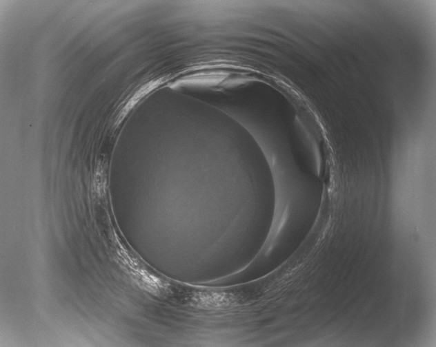 X0000086260945200703291429