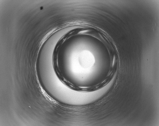 X0000086260946200703291429