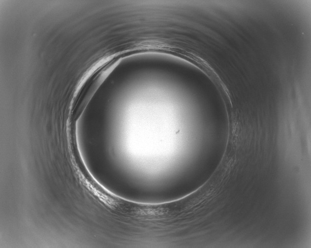 X0000086260947200703291429