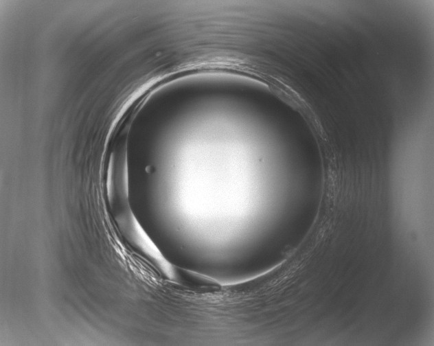 X0000086260948200703291430