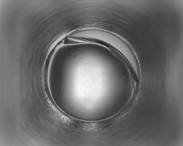 X0000086260949200703291430