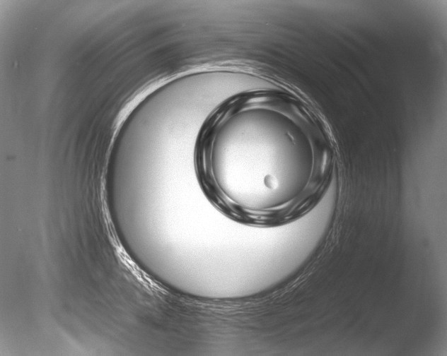 X0000086260952200703291430