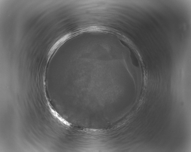 X0000086260954200703291430