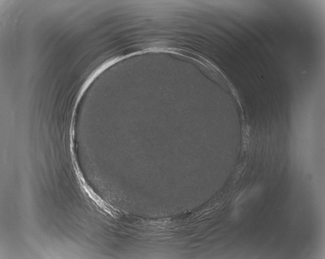 X0000086260955200703291430