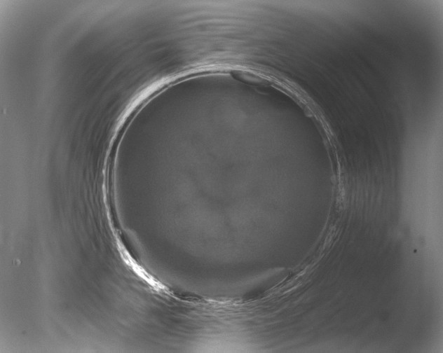 X0000086260958200703291430
