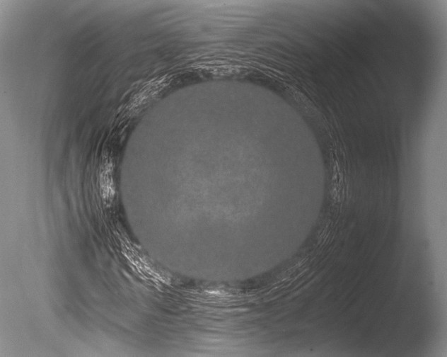 X0000086260962200703291429
