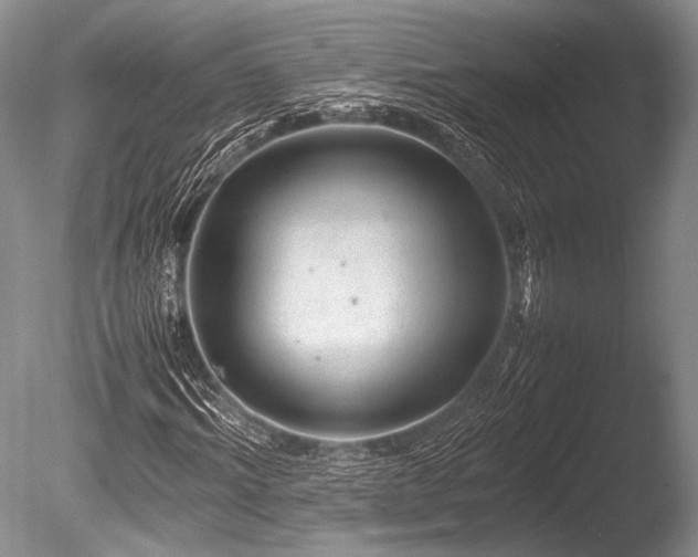 X0000086260964200703291429
