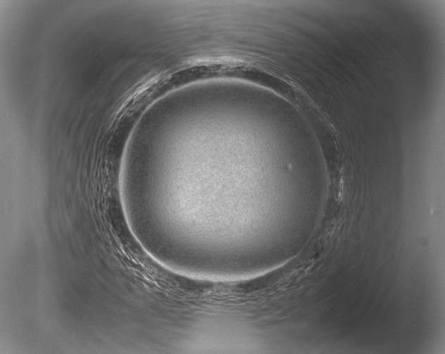 X0000086260967200703291429