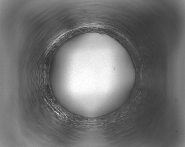 X0000086260968200703291429