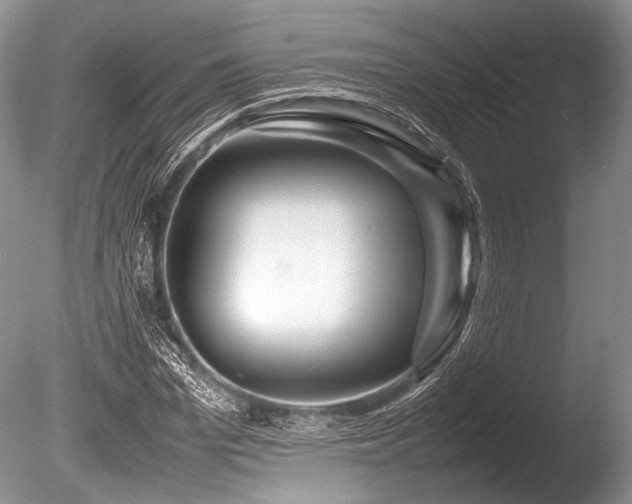 X0000086260969200703291429