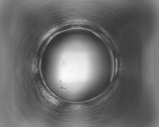 X0000086260970200703291429