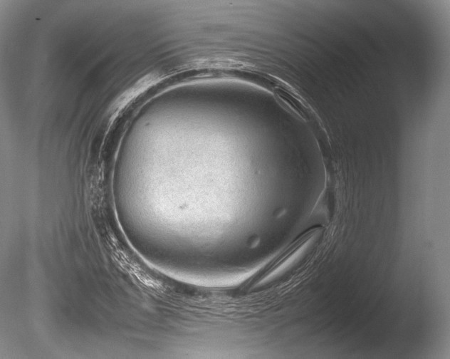X0000086260971200703291429