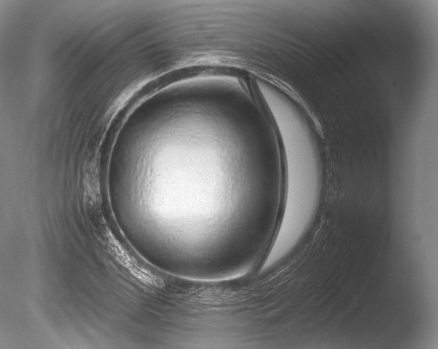 X0000086260972200703291429