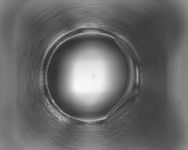X0000086260976200703291429