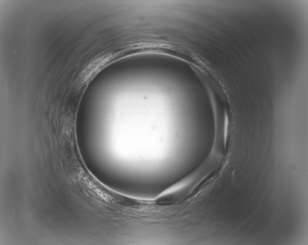 X0000086260985200703291428