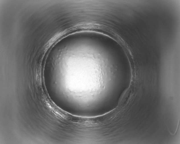 X0000086260986200703291428
