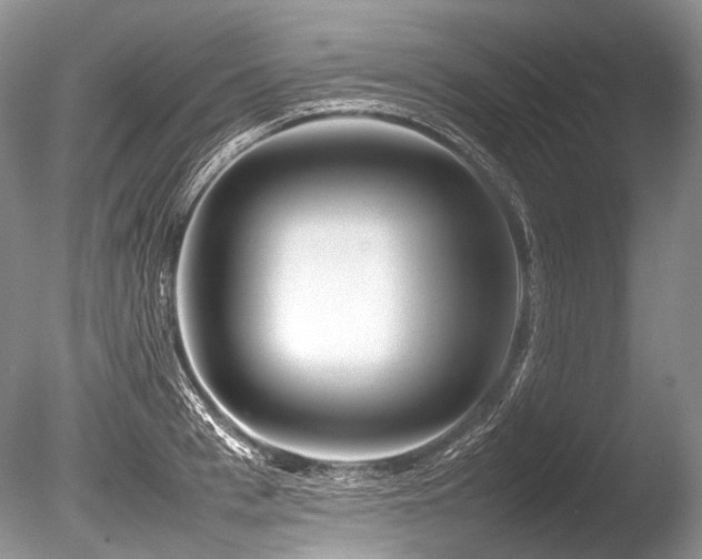 X0000086260993200703291428