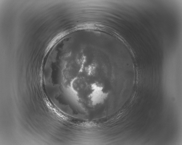 X0000086260994200703291428