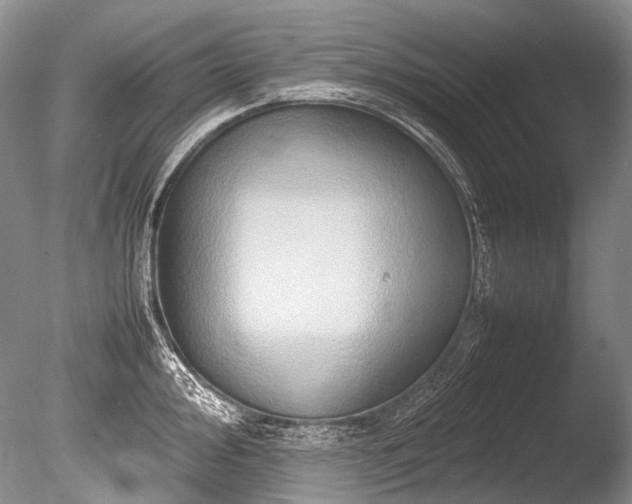 X0000086261000200703291428