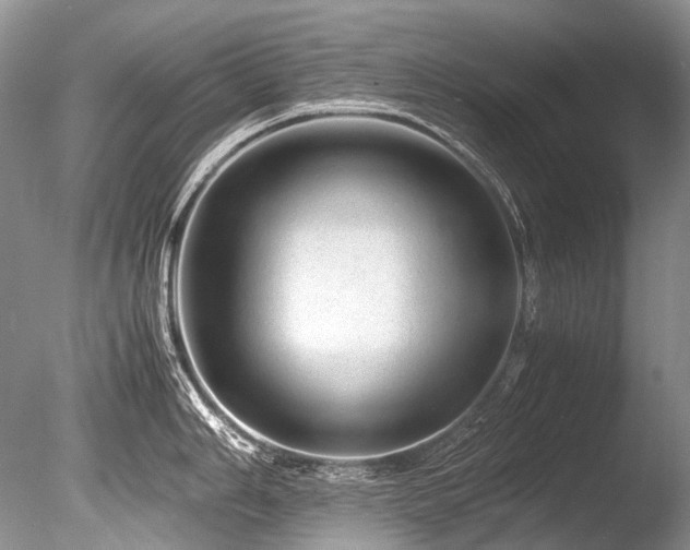 X0000086261006200703291428