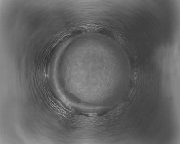 X0000086261010200703291427