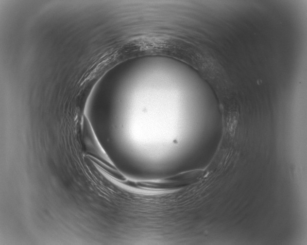 X0000086261012200703291427