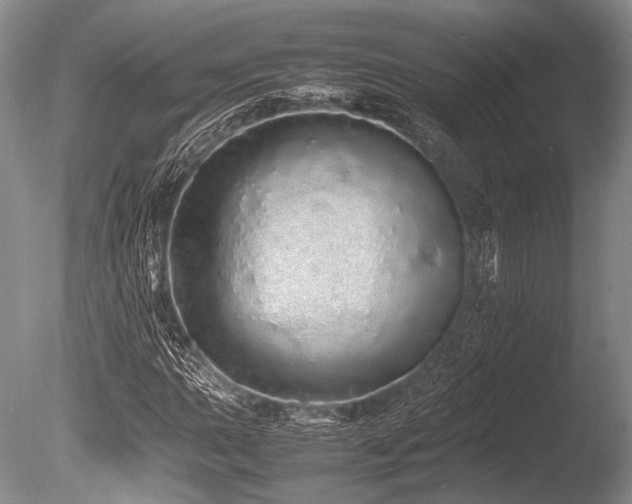 X0000086261015200703291427