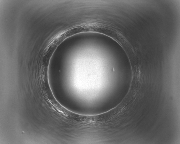 X0000086261016200703291427