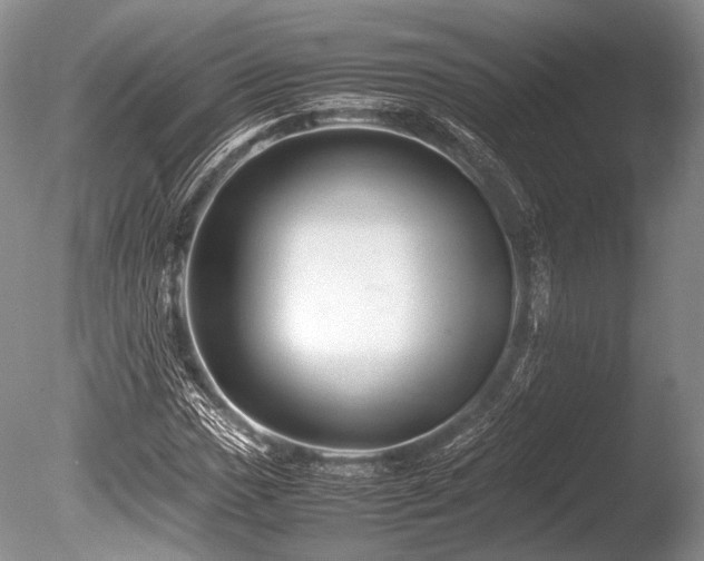 X0000086261017200703291427