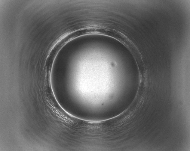 X0000086261021200703291427