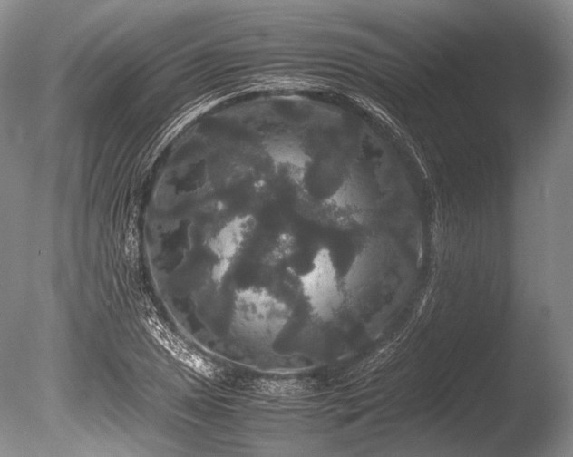 X0000086261025200703291428