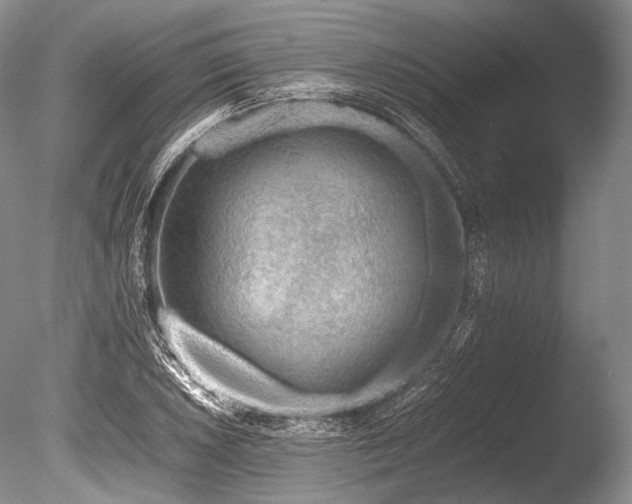 X0000086261026200703291428