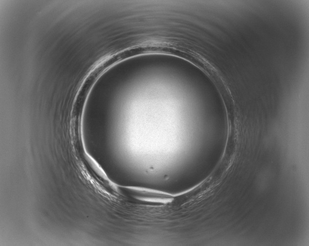 X0000086261029200703291428