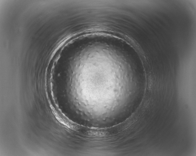X0000086261039200703291428