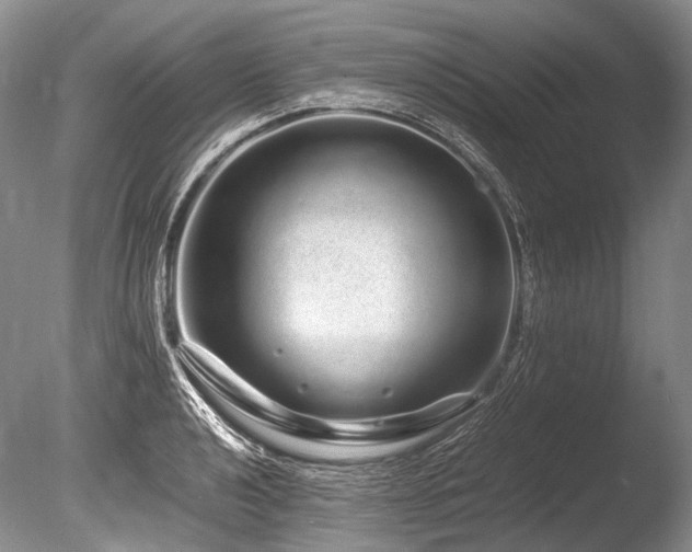 X0000086261040200703291428