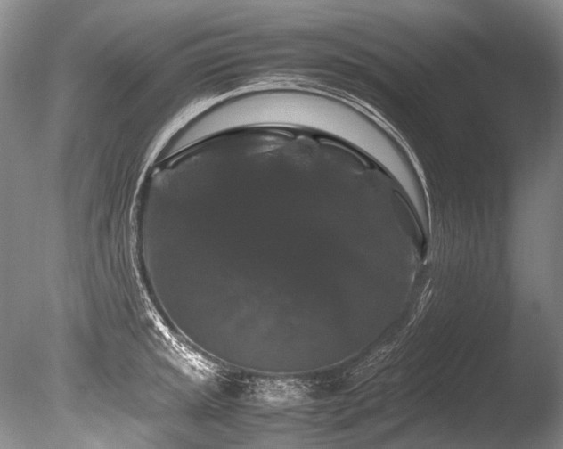X0000086261045200703291428