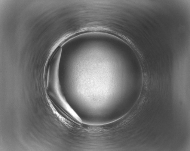 X0000086261046200703291428