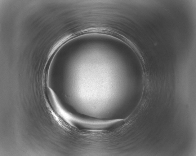 X0000086261050200703291428