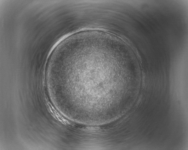 X0000086261052200703291428