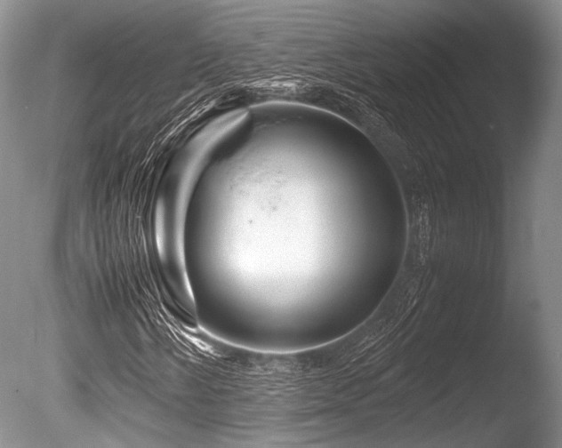 X0000086261058200703291427