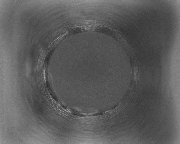 X0000086261060200703291427